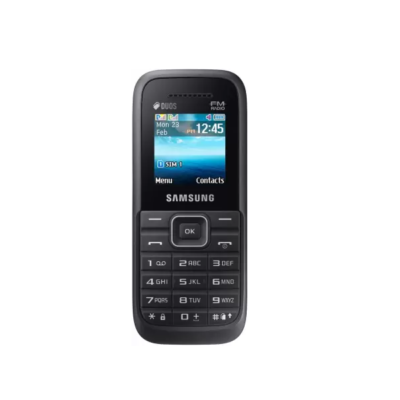 Samsung Guru FM Plus B110E...